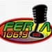 Feria 106.9 FM