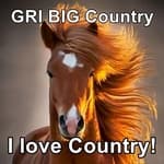 GRI Radio Network - GRI BIG Country