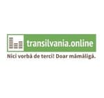 transilvania.online
