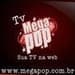 Mega Pop Radio